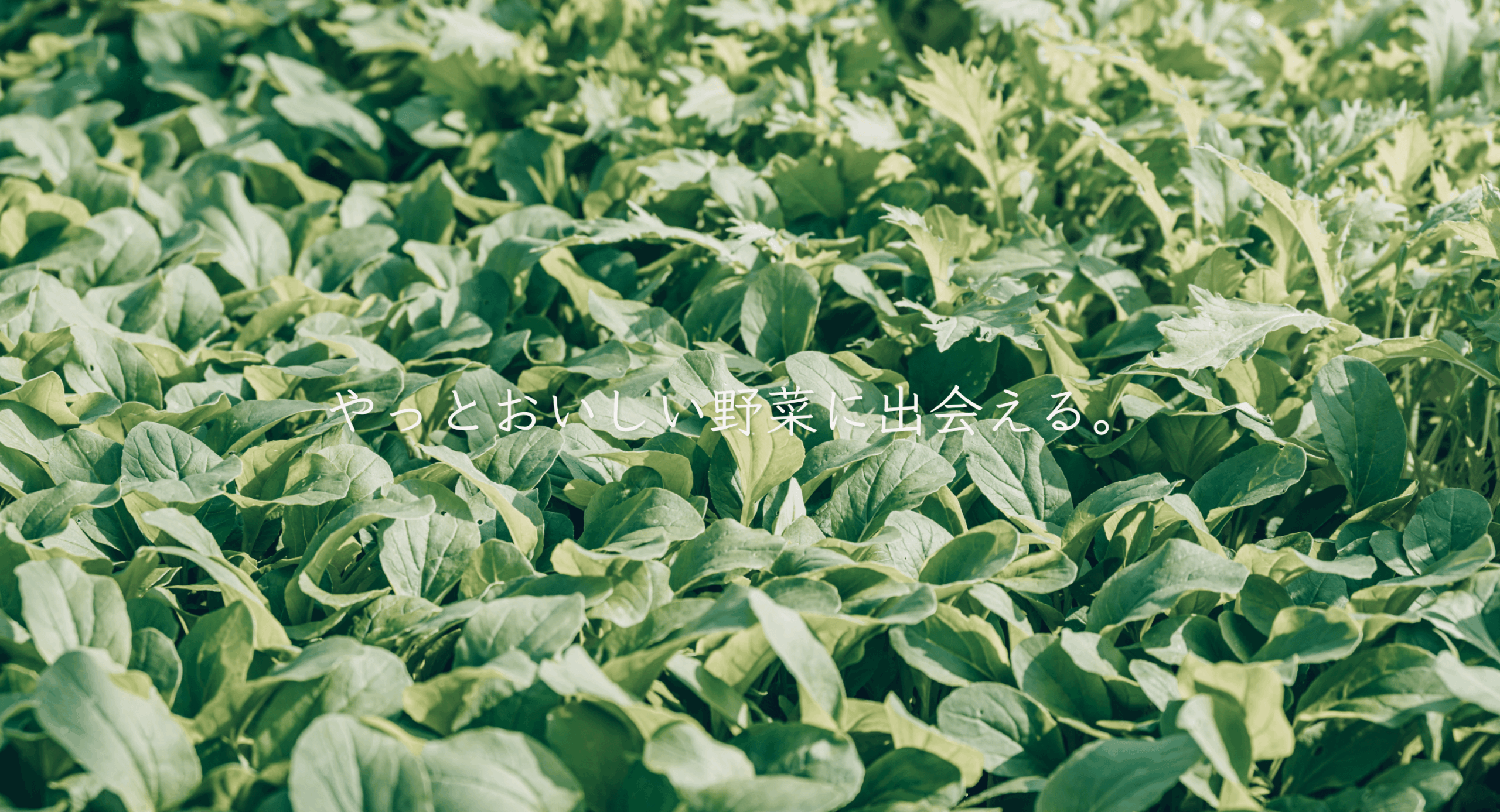 つくばいしだファーム